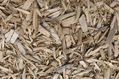 biomass boilers Duloe